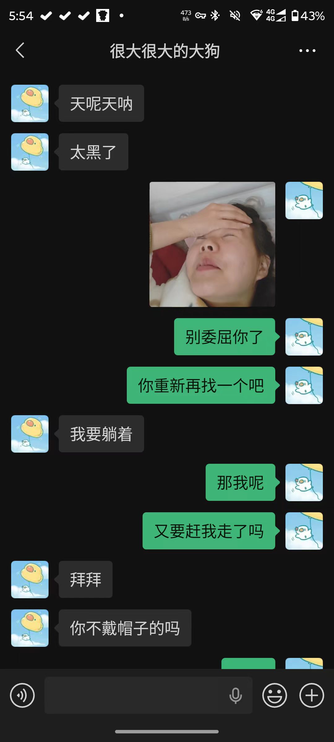 聊天记录截图：你好黑